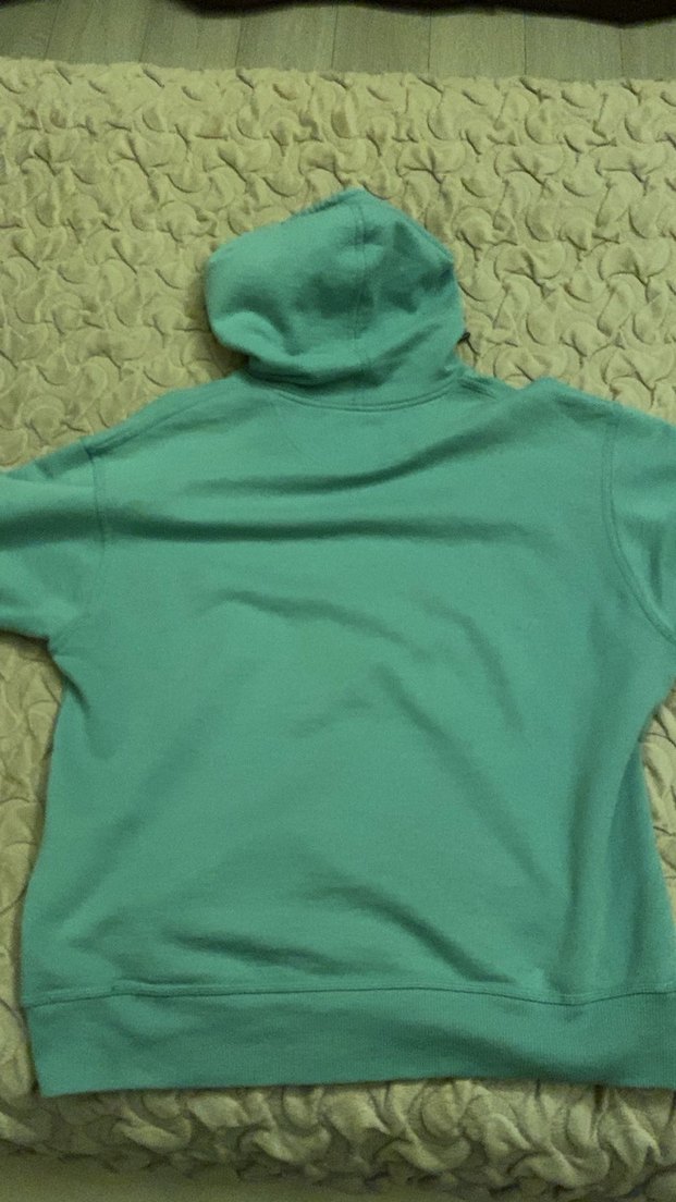 Orijinal Champion Yeşil-turkuaz Kapüşonlu Erkek Sweatshirt - Görsel 3