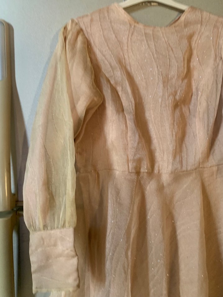 Vintage Bej Uzun Kollu Kadın Elbise - Görsel 3