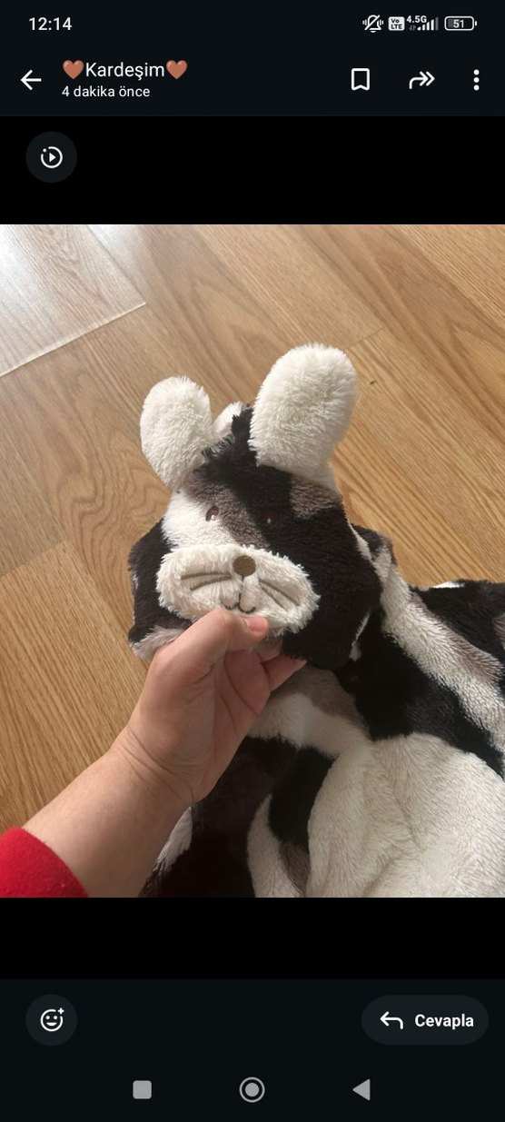 Kürk Detaylı Zebra Desenli Bebek Tulumu - Görsel 4