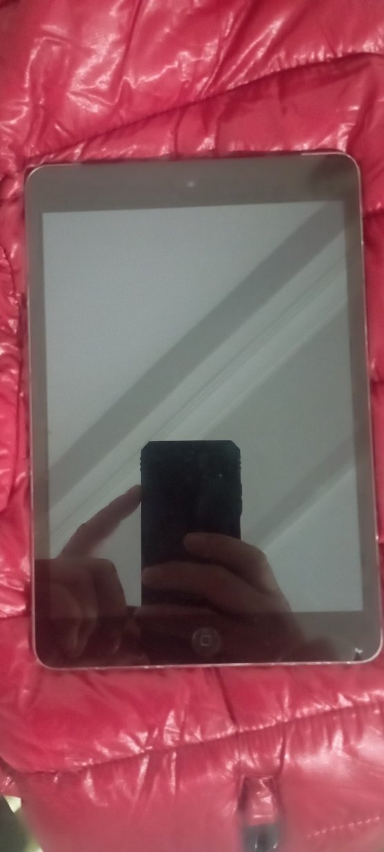 iPad mini 2 - Görsel 3