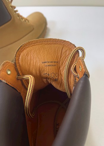 Kahverengi erkek bot - Görsel 4