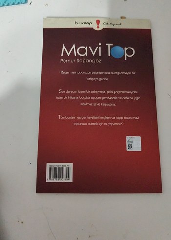 Mavi Top - Pürnur Soğangöz - Görsel 2