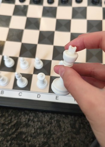 Beyaz ve Siyah Satranç Takımı - Görsel 3