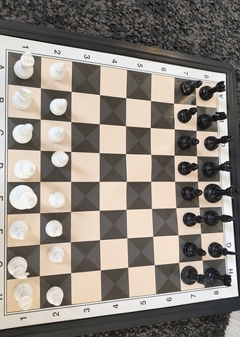 Beyaz ve Siyah Satranç Takımı - Görsel 4