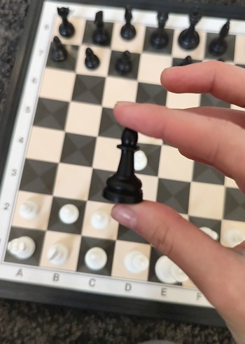 Beyaz ve Siyah Satranç Takımı - Görsel 2