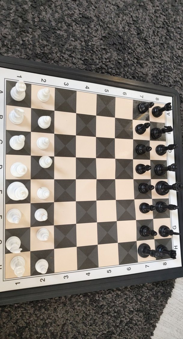 Beyaz ve Siyah  Satranç Takımı - Görsel 4