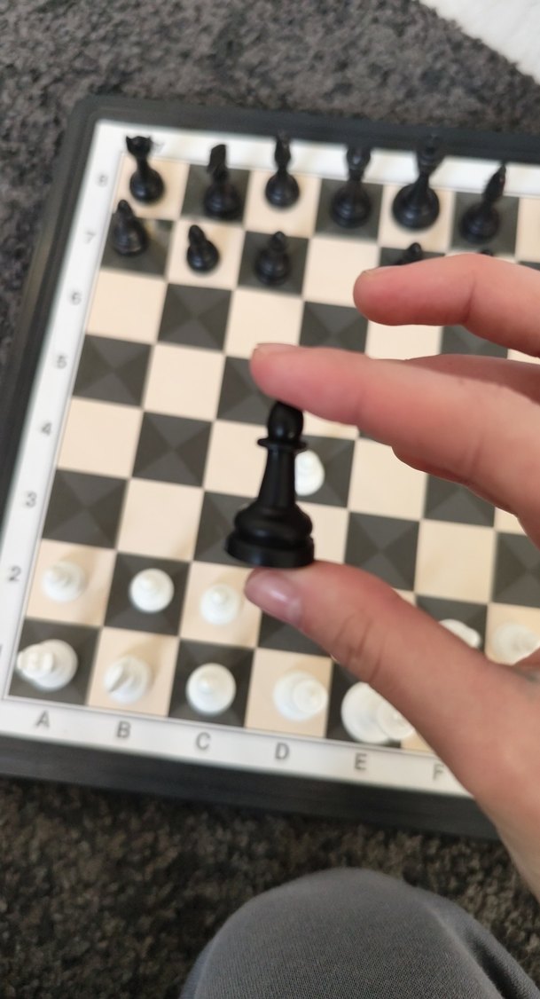 Beyaz ve Siyah  Satranç Takımı - Görsel 2