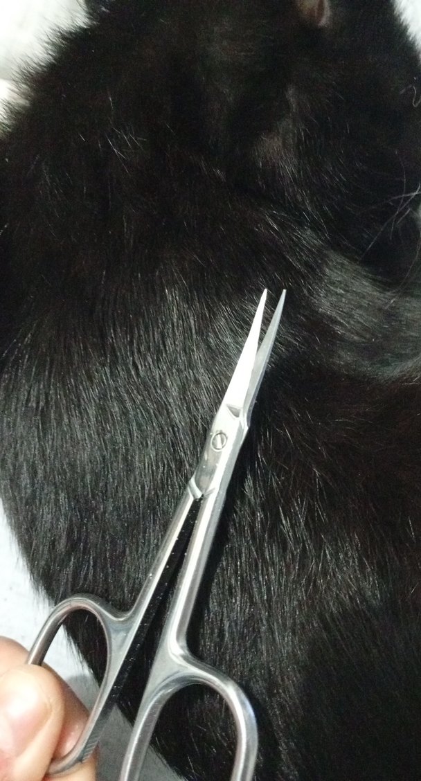 Parlak Gri Manikür Makası - Görsel 2