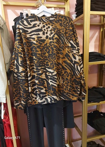 Kahverengi Zebra Desenli Kadın takim - Görsel 2