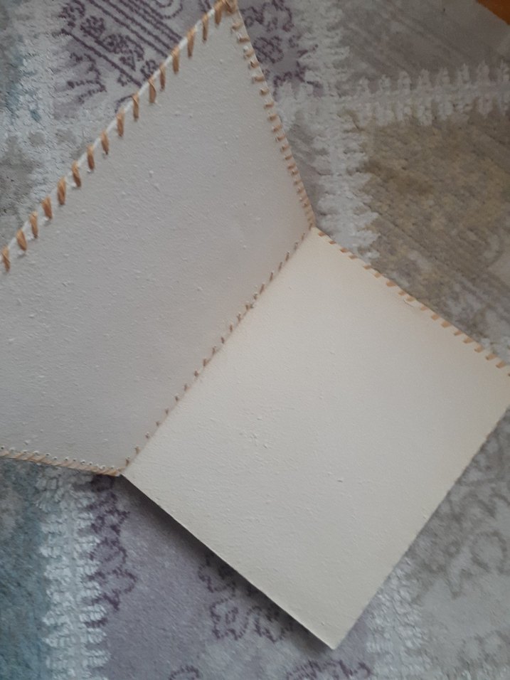 Madagaskar Temalı El Yapımı albüm - Görsel 3