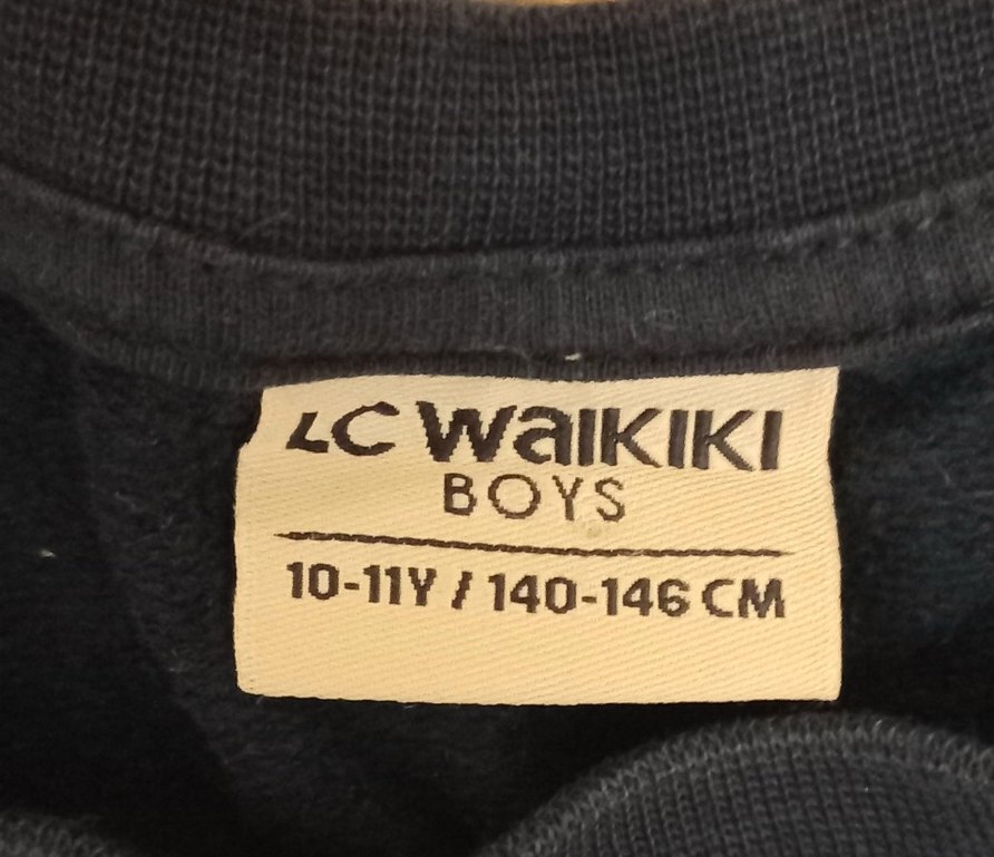 LC WAIKIKI Lacivert Erkek Sweatshirt - Görsel 2