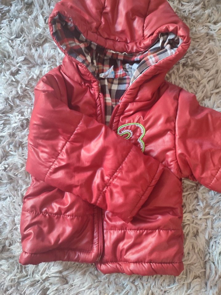 Kapüşonlu Erkek Çocuk  Mont - Görsel 2