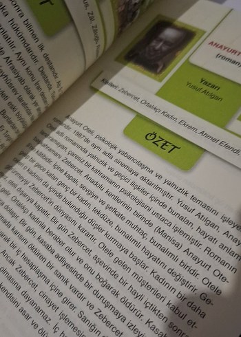 AYT Eser Özetleri El Kitabı 272 Çözet ve Altın Bilgiler - Görsel 3