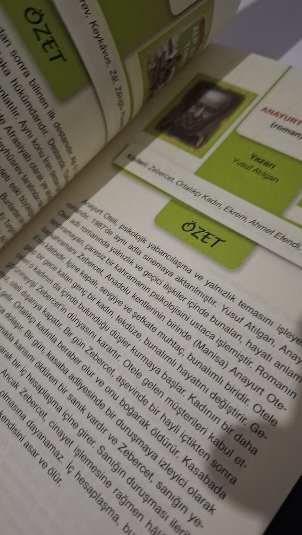 AYT Eser Özetleri El Kitabı 272 Çözet ve Altın Bilgiler - Görsel 3