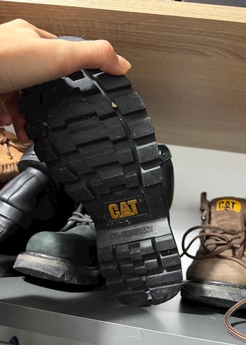 Siyah cat bot - Görsel 3