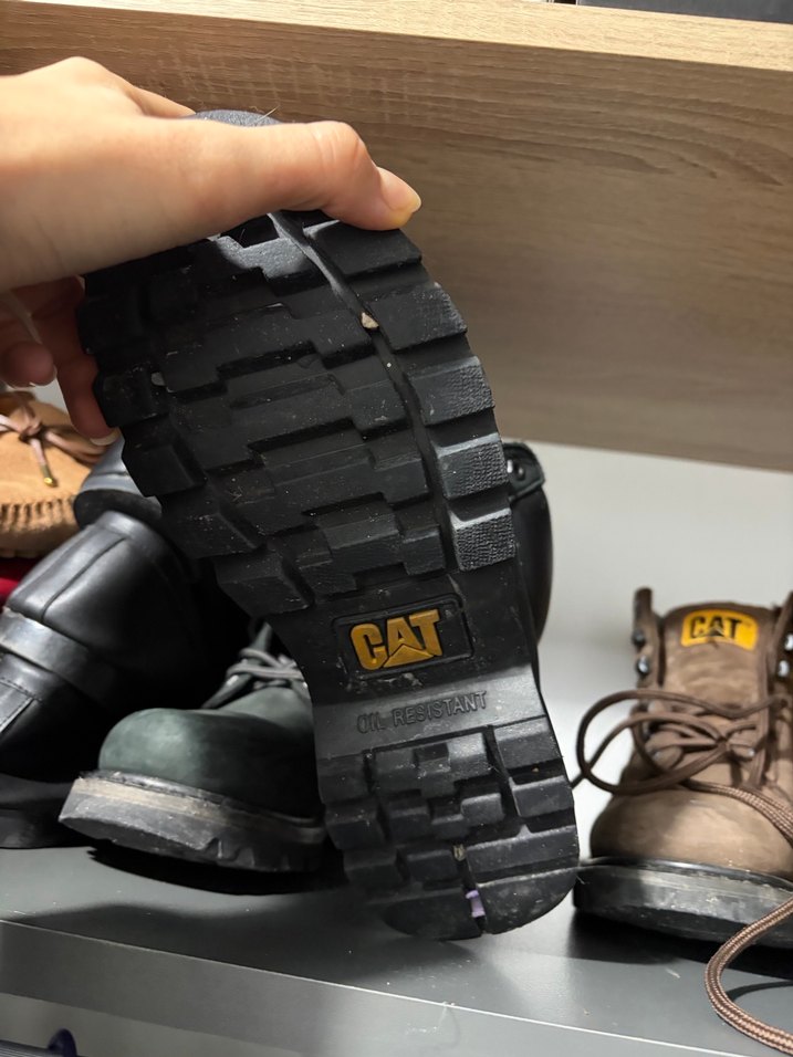 Siyah cat bot - Görsel 3