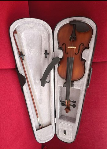 Kahverengi Keman ve Sert Kılıfı - Görsel 4