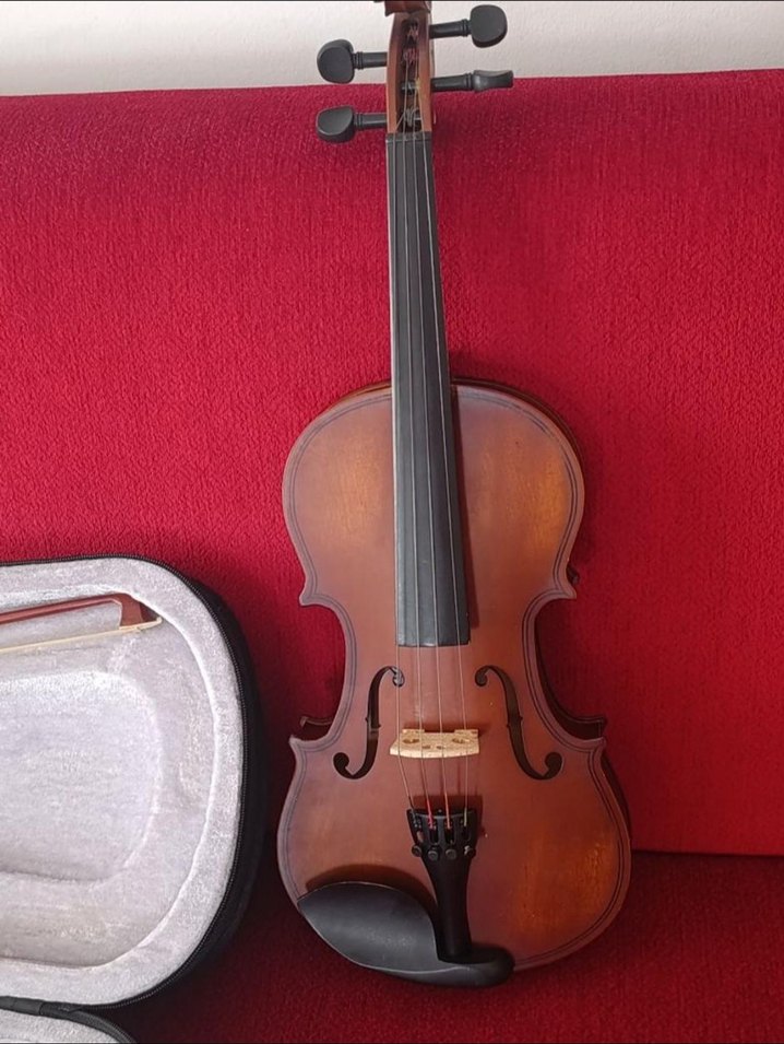 Kahverengi Keman ve Sert Kılıfı - Görsel 5