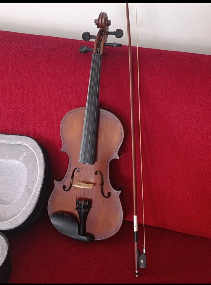 Kahverengi Keman ve Sert Kılıfı - Görsel 3