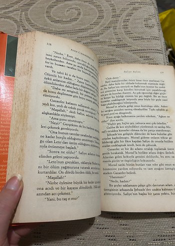 Safiye Sultan - Ann Chamberlin - Görsel 3