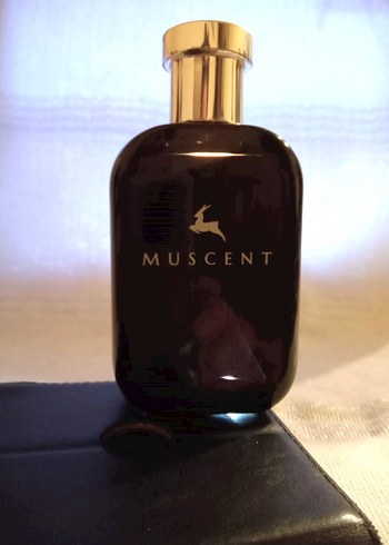 Muscent N283 Mancera Coco Vanille Kadın EDP 50ml - Görsel 3