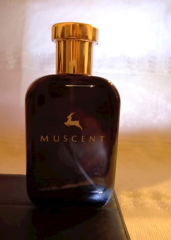 MUSCENT M097 Guerlain L'Homme Ideal Erkek EDP 50ml - Görsel 3