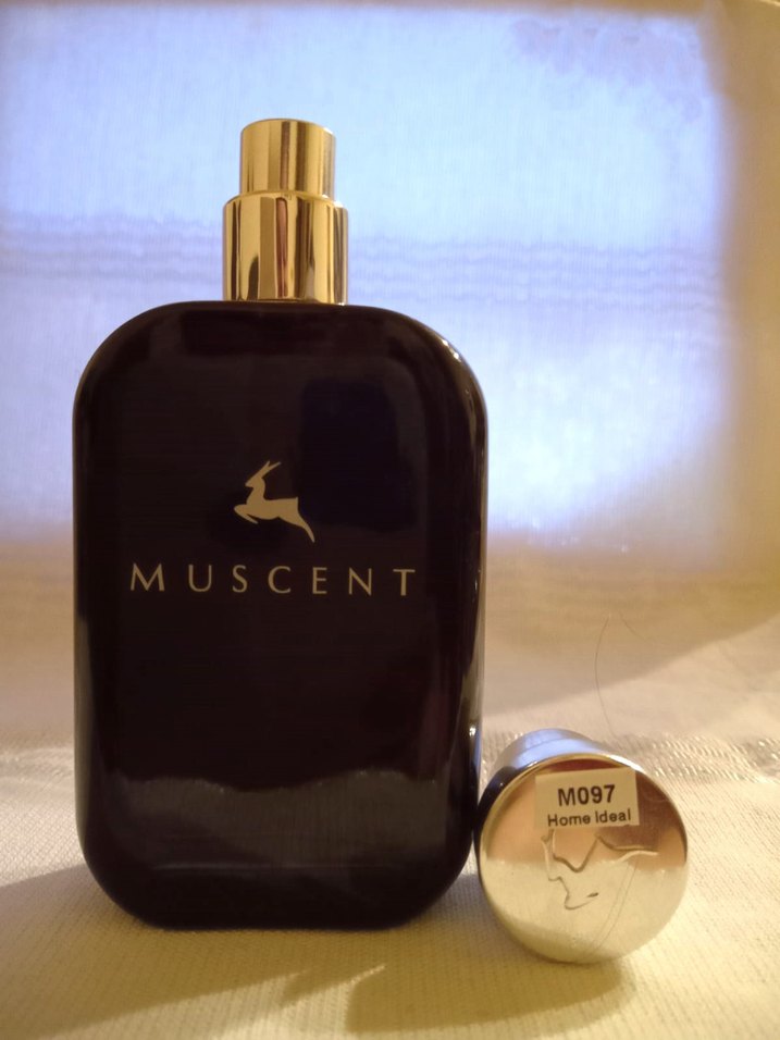 MUSCENT M097 Guerlain L'Homme Ideal Erkek EDP 50ml - Görsel 4