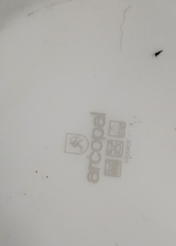 arcopal Fransız yemek tabağı Bej Pastel Desenli Tabak Seti - Görsel 5