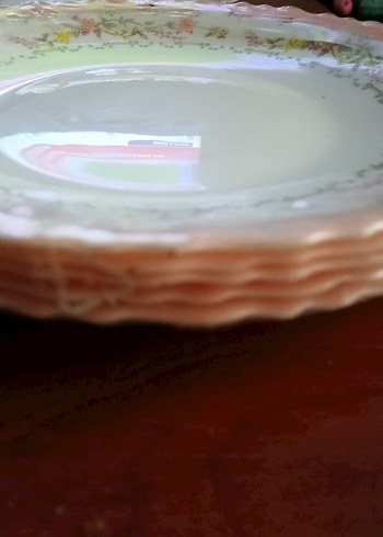 arcopal Fransız yemek tabağı Bej Pastel Desenli Tabak Seti - Görsel 6