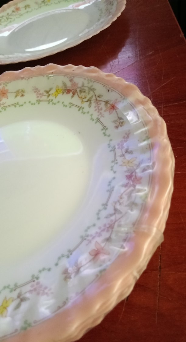 arcopal Fransız yemek tabağı Bej Pastel Desenli Tabak Seti - Görsel 3