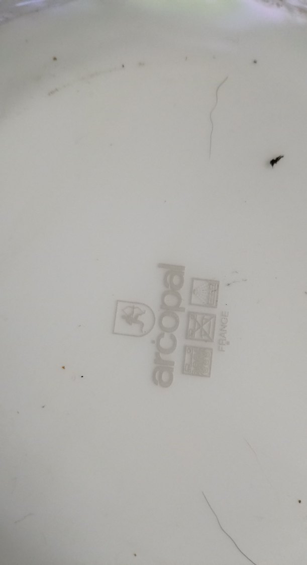 arcopal Fransız yemek tabağı Bej Pastel Desenli Tabak Seti - Görsel 5