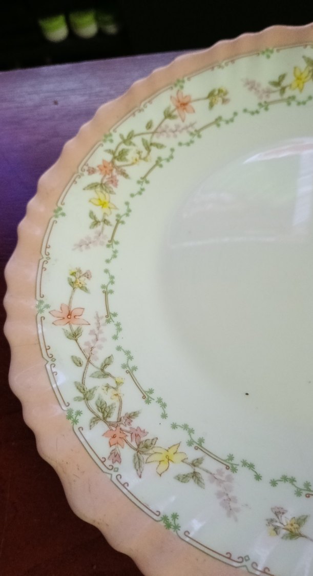 arcopal Fransız yemek tabağı Bej Pastel Desenli Tabak Seti - Görsel 4