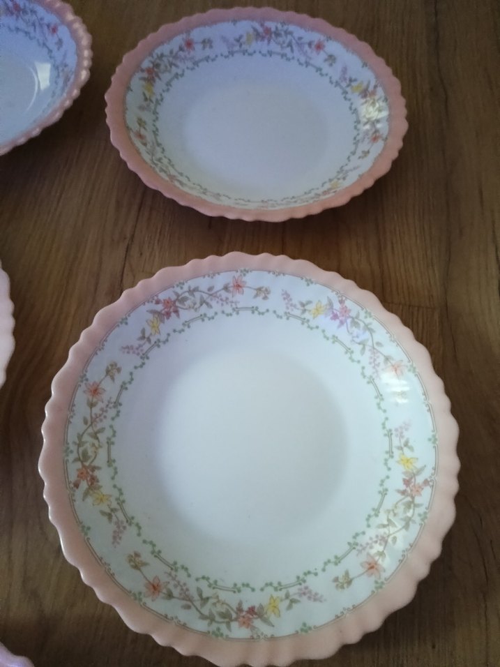 arcopal Fransız Pembe Pastel Kenarlı 5 Parça Tabak Seti - Görsel 3