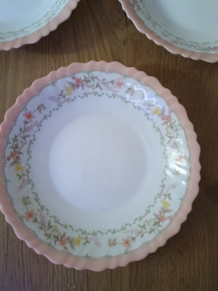 arcopal Fransız Pembe Pastel Kenarlı 5 Parça Tabak Seti - Görsel 2