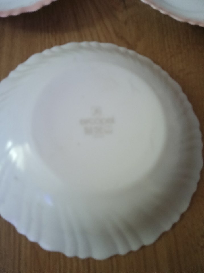 arcopal Fransız Pembe Pastel Kenarlı 5 Parça Tabak Seti - Görsel 5