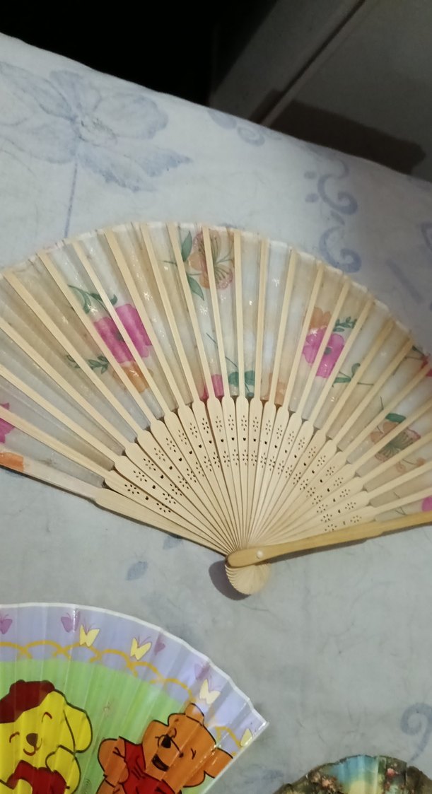 Renkli ve Çeşitli Yelpazeler - Görsel 3