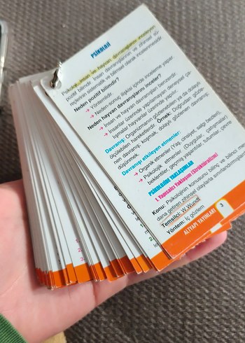 Psikoloji Kitap Sayfası - ALTYAPI YAYINLARI - Görsel 4