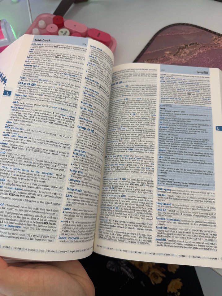 Oxford Advanced Learner's Dictionary 10. Baskı - Görsel 3