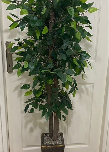 Koyu Yeşil Saksılı Dekoratif Yapay Ağaç - Görsel 2