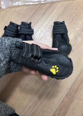 Siyah Köpek Patik Ayakkabısı 4'lü Set - Görsel 2