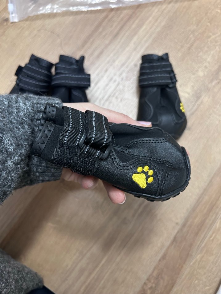 Siyah Köpek Patik Ayakkabısı 4'lü Set - Görsel 2