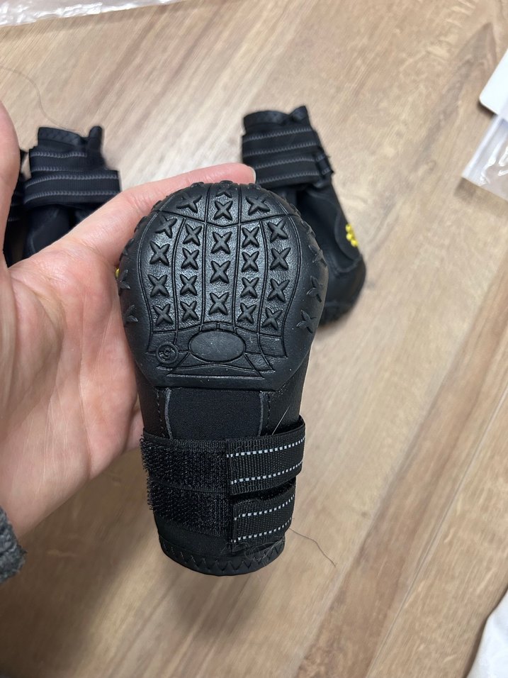 Siyah Köpek Patik Ayakkabısı 4'lü Set - Görsel 3