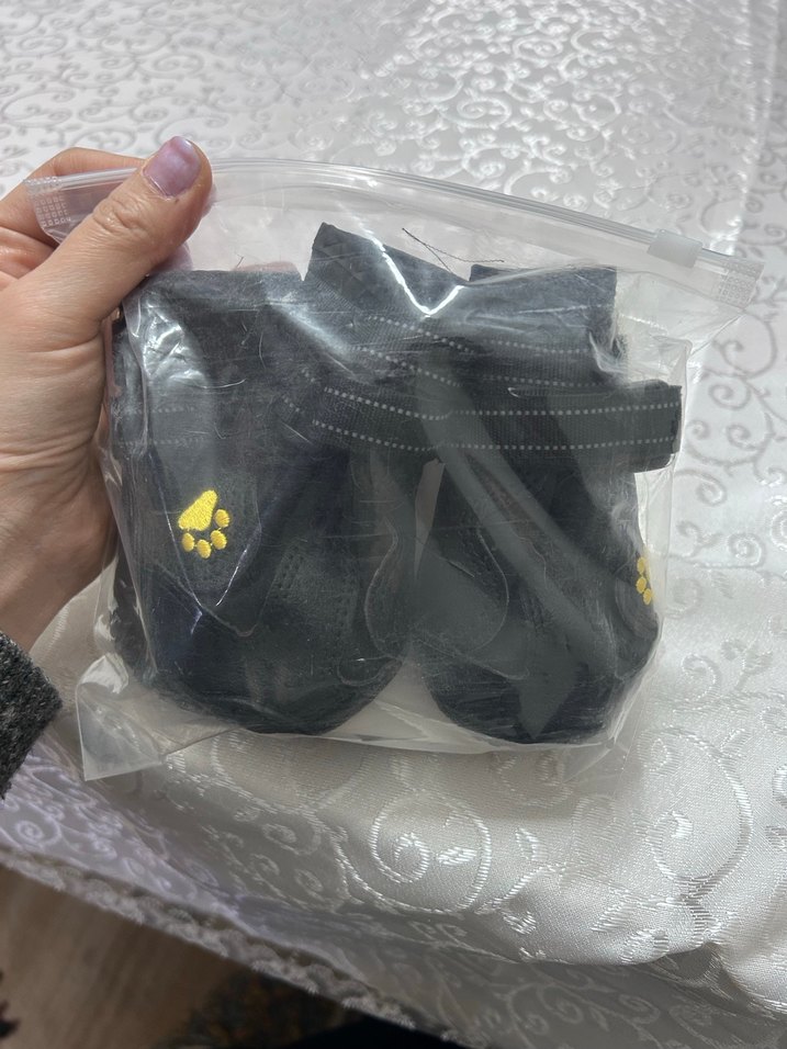 Siyah Köpek Patik Ayakkabısı 4'lü Set - Görsel 4