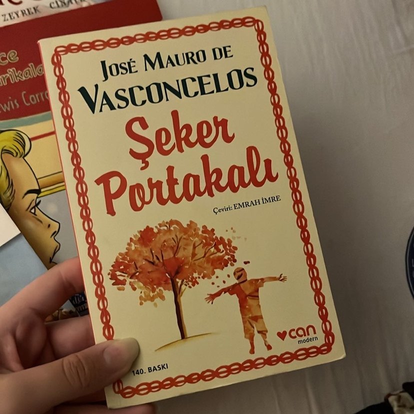 Çocuk Kitapları Seti - Klasikler ve Masallar - Görsel 2