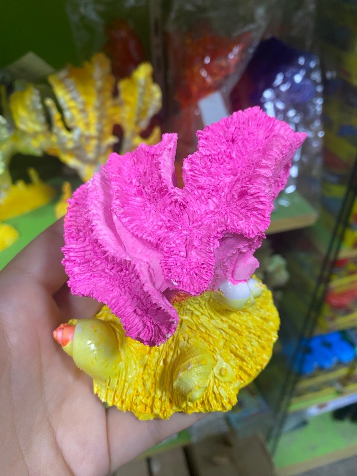 Renkli Pembe Deniz Mercanı Figürü akvaryum - Görsel 2