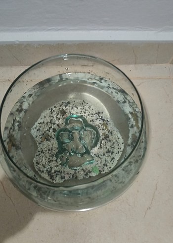 Balık beslemeklik içi oyuntulu fanus - Görsel 2