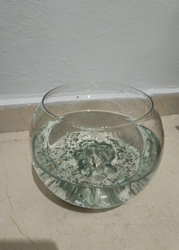 Balık beslemeklik içi oyuntulu fanus - Görsel 3