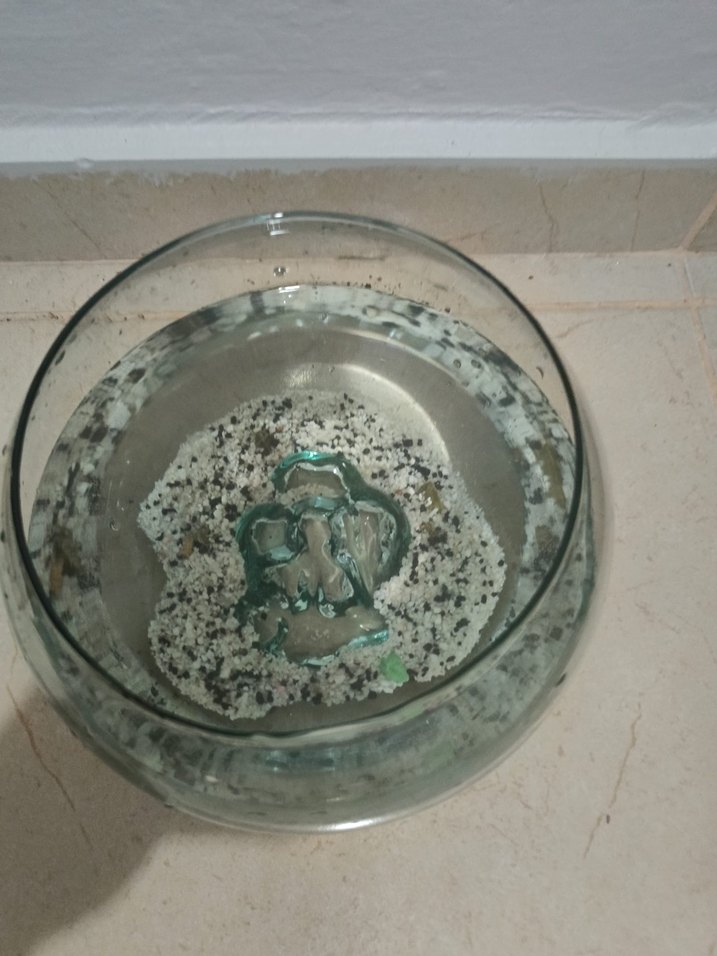 Balık beslemeklik içi oyuntulu fanus - Görsel 2