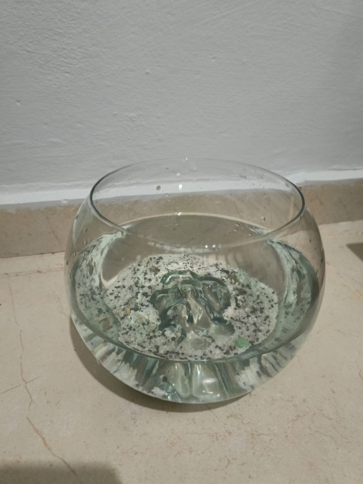 Balık beslemeklik içi oyuntulu fanus - Görsel 3