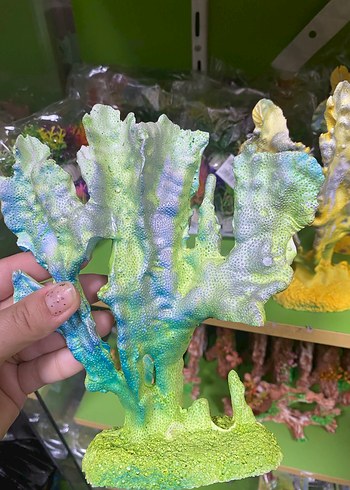 Renkli Sarı Deniz Figürü akvaryum - Görsel 2